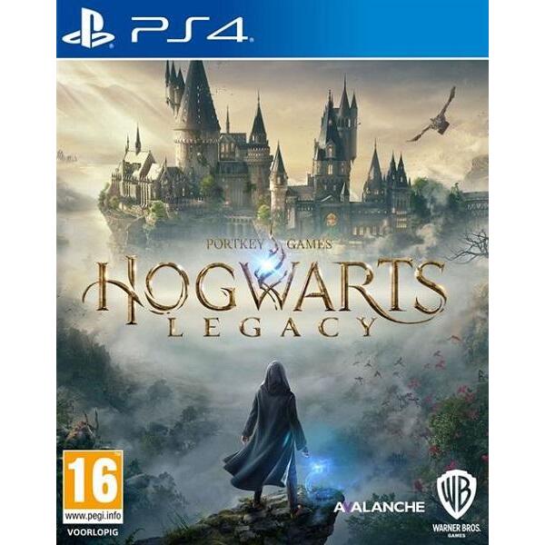 zonlicht Nat gebrek Hogwarts Legacy (PS4) kopen - €59